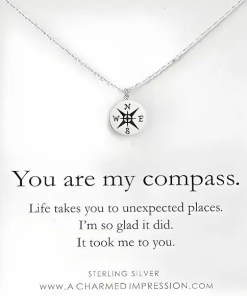 A Charmed Silver Compass Necklace - Over The Moon Gift
