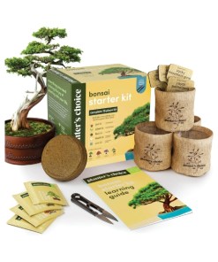 Bonsai Starter Kit – Learning & Hobbies Gift for Mindful Gardening