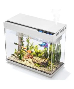 Fish Tank 2.4 Gallon Aquarium Kit - Best Gift For Wedding